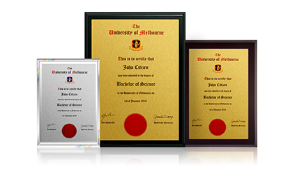 Degree Plaques
